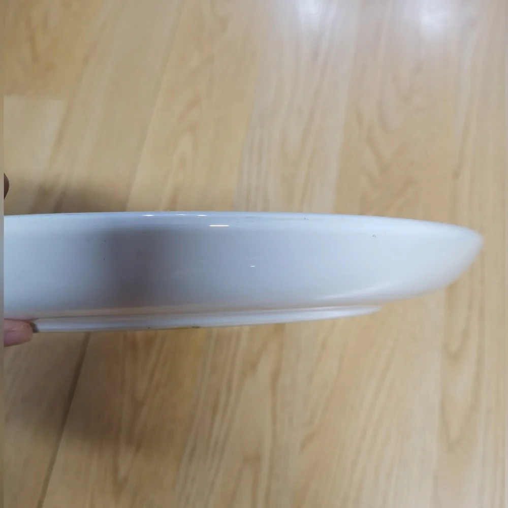 Pier 1 Hand Painted Breakfast Serving Platter 13